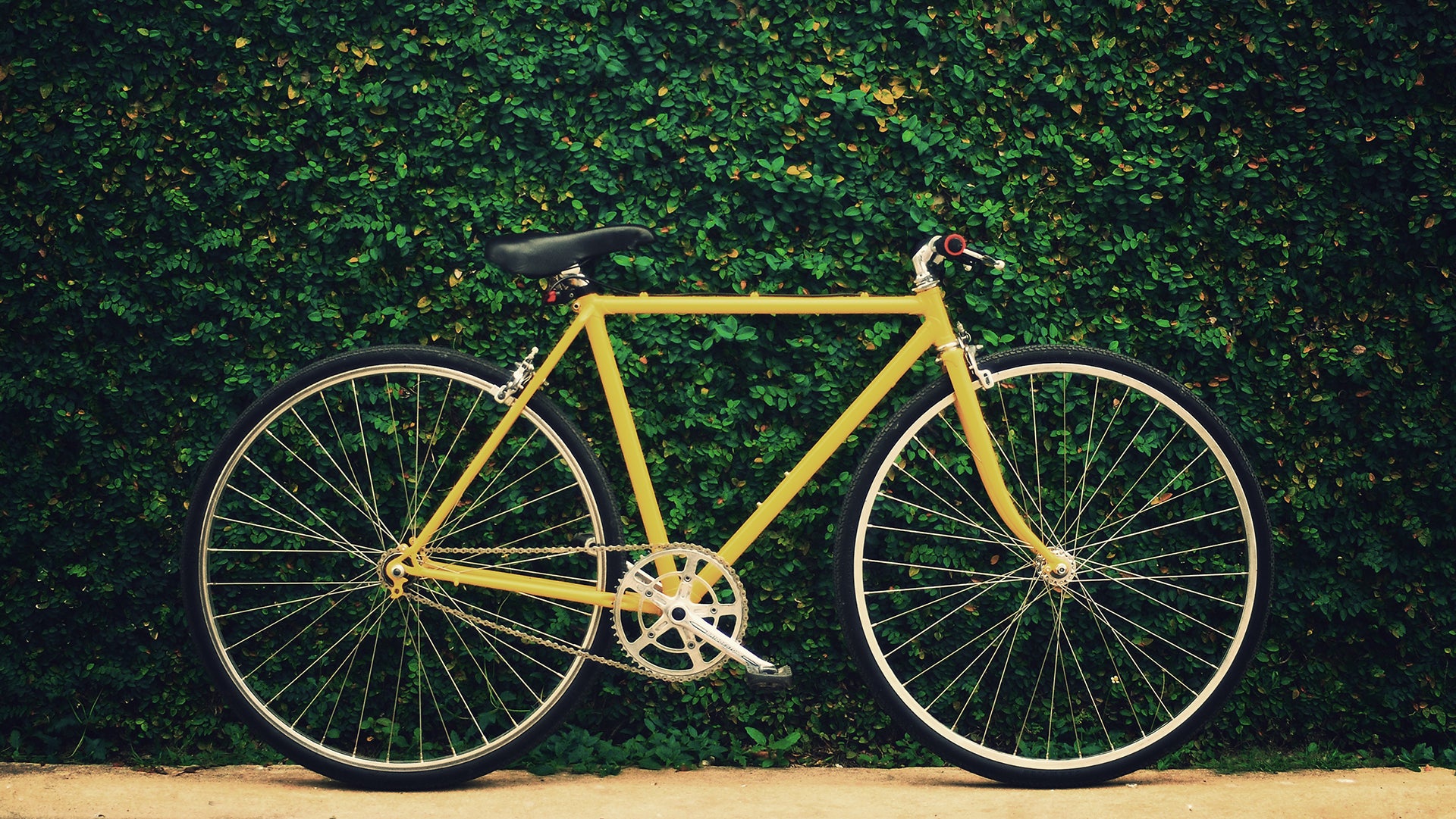 Yellow normal bicycle for boy