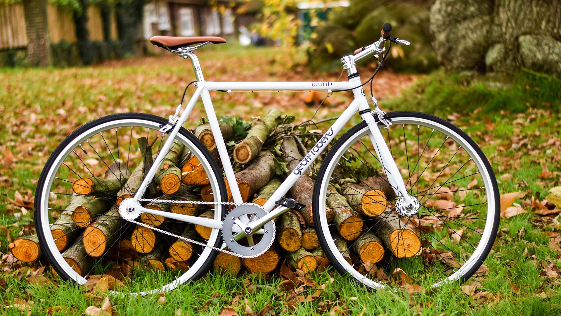 Cycle is standing near a wood